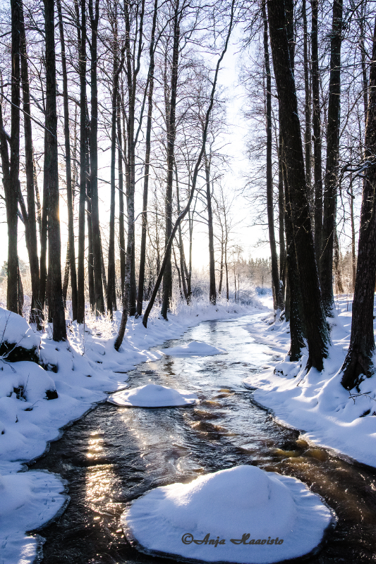 Winter of Viiala